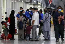 درخواست فرماندهان بازنشسته ارتش آمریکا برای جلوگیری از اخراج افغانستانی&zwnj;ها
