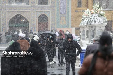 گزارش تصویری | یک روز برفی در حرم مطهر امام رضا(ع) - ۲۱ بهمن ۱۴۰۳