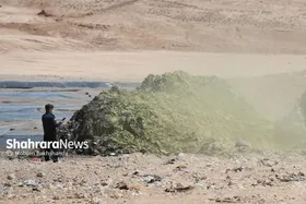 کارگران دفن زباله در مشهد سختی کار نمی&zwnj;گیرند | قطع اضافه&zwnj;حقوق از ۲ سال پیش