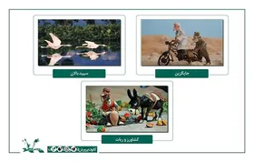 مجموعه پویانمایی &laquo;شتر و آسیابان&raquo; در راه فرانسه