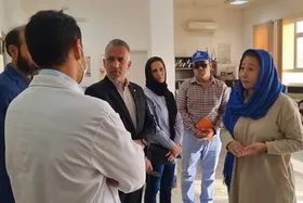 نماینده سازمان ملل در امور پناهندگان: خدمات ایران به پناهندگان و مهاجران استثنایی است