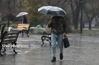 ویدئو | بارش باران و ایجاد سیلاب در ابرده (۳۰ مرداد ۱۴۰۵)
