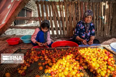 پشت بام های طلایی خَروْ