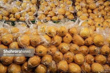 گزارش تصویری | غوطه در پلاستیک