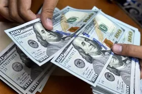 ۱۱ میلیون دلار تقلبی در بازار تهران کشف شد