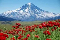 پرونده واگذاری ۸۰ هکتار از اراضی دماوند با تخفیف ۵۰ درصدی در چه مرحله‌ای است؟