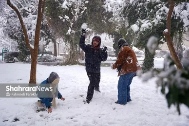 گزارش تصویری | بارش زیبای برف در مشهد