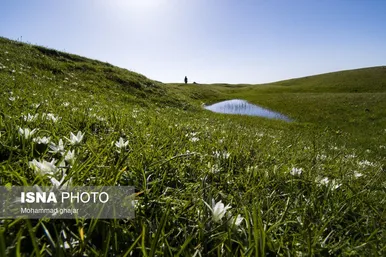 ایران زیباست | ارتفاعات برفچال؛ شهرستان مینودشت