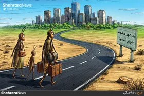 کارتون | در حاشیه هجوم ملخ&zwnj;ها به مشهد