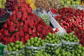 کاهش قیمت میوه&zwnj;های نوبرانه در مشهد (۱۰ اردیبهشت ۱۴۰۳)