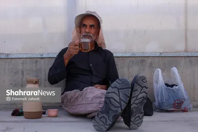 گزارش تصویری | گلخانه توت فرنگی