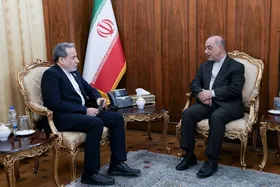 تأکید عراقچی بر تداوم دیپلماسی فعال در دیدار با سفرای ایران در اروپا