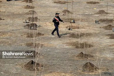 پویش سراسری درخت‌کاری در بوستان جهانشهر