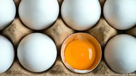 مردم نگران تأمین تخم&zwnj;مرغ برای شب عید نباشند