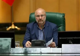 رئیس مجلس خبر داد: بررسی گرانی&zwnj;ها روز چهارشنبه با حضور وزیر صمت