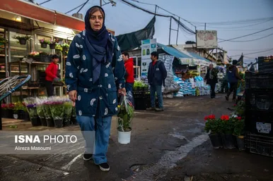 ایران زیباست | بازار گل محلاتی در روزهای پایانی ۱۴۰۳