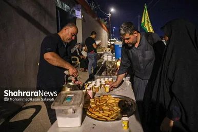 گزارش تصویری | پیاده روی شبانه زائران اربعین در طریق العلماء