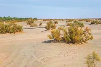 کانون‌های بیابانی خراسان رضوی یکی از منشأ‌های اصلی آلودگی هوا | مهار قطره‌چکانی بیابان‌زدایی