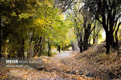 ایران زیباست | روستای دِلارام؛ «دهکده پزشکان»