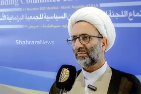 عضو هیئت&zwnj;رئیسه مجلس شورای اسلامی: دیپلماسی پارلمانی ایران، سد محکمی برابر زیاده&zwnj;خواهی آمریکا است