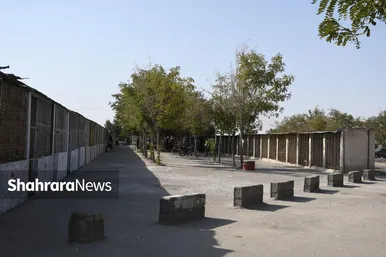 عکس‌هایی از جمعه‌بازار پرنده‌فروشان در شمال شرق مشهد