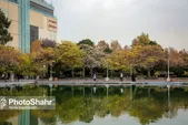پایش ایمنی و بهداشت بوستان‌های بزرگ شهری هم‌زمان با اجرای طرح استقبال از بهار ۱۴۰۳