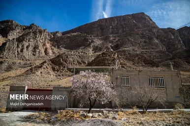 ایران زیباست | بوی بهار در زمستان کویر