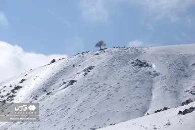 ایران زیباست | طبیعت برفیِ «هندودر»