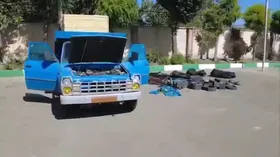 کشف و ضبط یک وانت حامل ریزپرنده در تهران