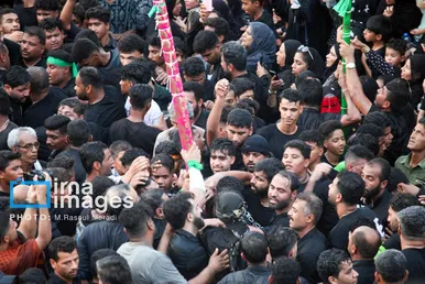 محرم ۱۴۰۴ | عکس‌هایی از آیین سنتی «عَلَم پیغمبر» در میناب