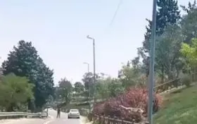عبور آهو&zwnj;ها از مسیر پارک سرخه حصار تهران + فیلم