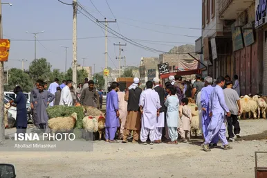 گزارش تصویری | عید قربان در زاهدان