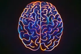 بیماری آلزایمر شایع&zwnj;ترین نوع زوال عقل است