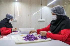 فراورده&zwnj;های غذایی که مورد تایید سازمان غذا و دارو قرار می&zwnj;گیرد، از سلامت کافی برخوردار است