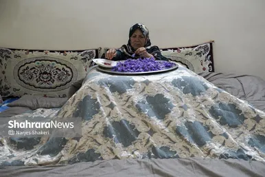 ایران زیباست | فصل طلای سرخِ خراسان
