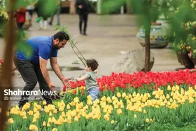 رضایت ۸۵ درصدی مردم از بوستان&zwnj;های شهر مشهد