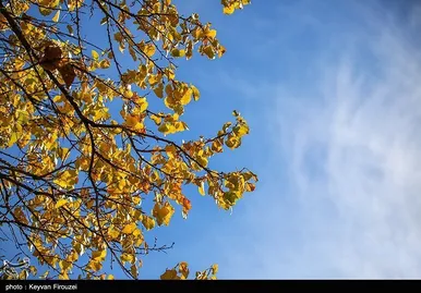 ایران زیباست | پاییز رنگارنگ کردستان