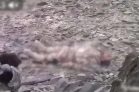 فیلم منتشر شده از لحظه شهادت سرباز مرزبانی صحت ندارد