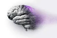 پیشگیری از ابتلا به زوال عقل با رژیم غذایی پرفیبر