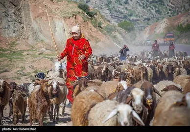 عبور عشایر از خرم آباد