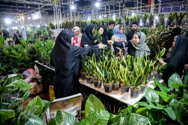 بیست و یکمین نمایشگاه بین‌المللی گل و گیاه