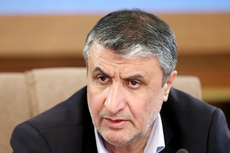 رئیس سازمان انرژی اتمی: تابع مصوبات شورای عالی امنیت ملی هستیم | الزامی برای بودن دوربین‌های آژانس وجود ندارد