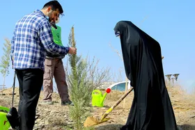 باغ&zwnj;های خاطره و زندگی به نام شهروندان مشهدی پلاک&zwnj;گذاری می&zwnj;شود