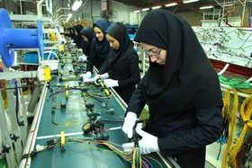 سهم ۳۳ درصدی زنان خراسان رضوی در صدور مجوز&zwnj;های کسب&zwnj;وکار