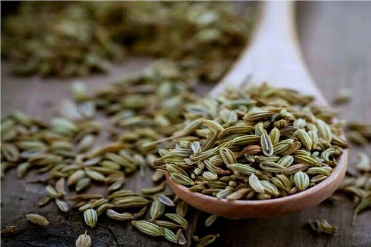 «رازیانه» باعث افزایش شیرمادر می‌شود