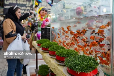 گزارش تصویری | حال‌وهوای بازار گل و گیاه مشهد در آستانه نوروز ۱۴۰۵