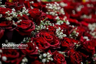 چراغانی و گل آرایی حرم مطهر رضوی در دهه کرامت