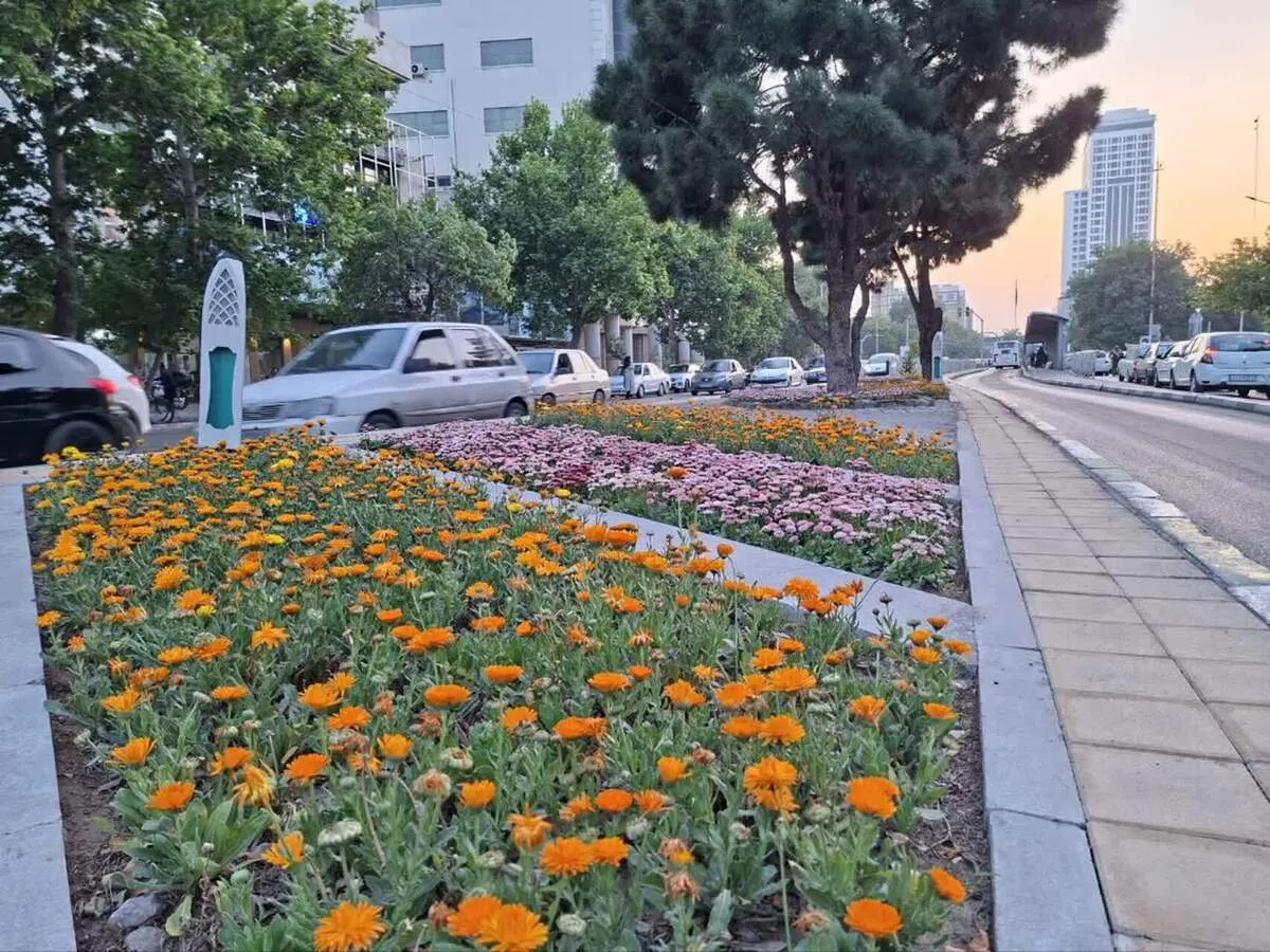 آغاز کاشت ۳ میلیون بوته گل بهاره-تابستانه در مشهد