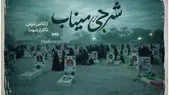 ویدیو| شرجی میناب؛ از کلاس درس تا گلزار شهدا