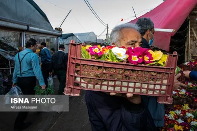 ایران زیباست | بازار گل محلاتی در روزهای پایانی ۱۴۰۳